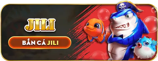 bj27 code là gì?